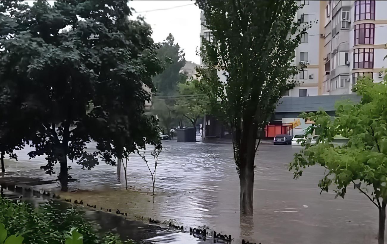 Новина